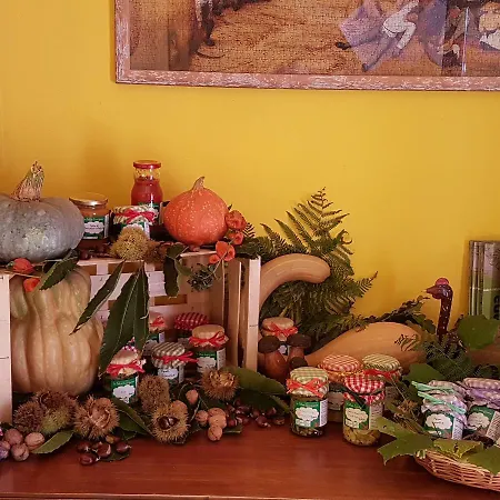 Agriturismo La Selva Κατάλυμα σε φάρμα *