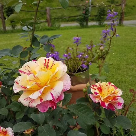 Κατάλυμα σε φάρμα Agriturismo La Selva *