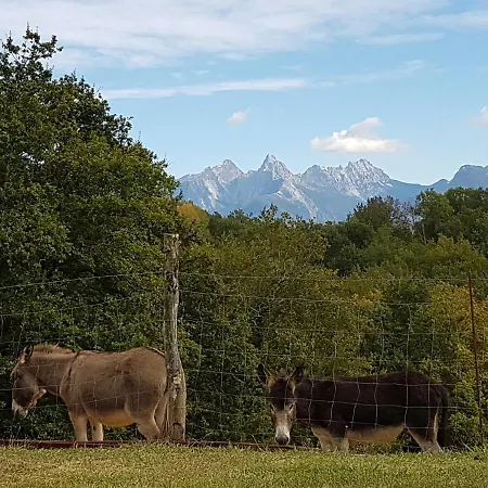 Agriturismo La Selva Κατάλυμα σε φάρμα Aulla